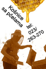 Prodaja košnica sa pčelama