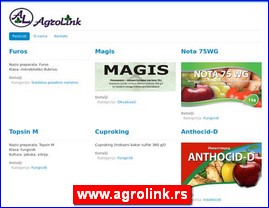 Picture galleries, painters, studios, painting, www.agrolink.rs
