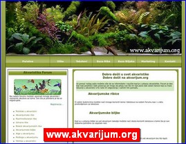 www.akvarijum.org