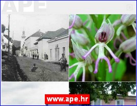 Architecture, design, www.ape.hr