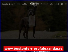 www.bostonterrierofalexandar.rs