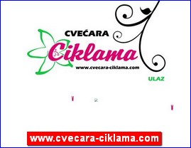 Flowers, florists, horticulture, www.cvecara-ciklama.com