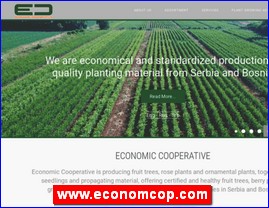 Supermarketi, trgovina, www.economcop.com