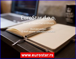 Car sales, www.eurostar.rs