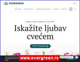 Cvee, cveare, hortikultura, www.evergreen.rs
