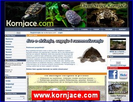 www.kornjace.com