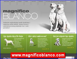 www.magnificoblanco.com
