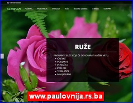 Flowers, florists, horticulture, www.paulovnija.rs.ba