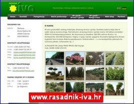 Flowers, florists, horticulture, www.rasadnik-iva.hr