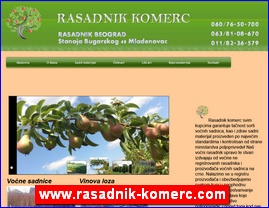 Flowers, florists, horticulture, www.rasadnik-komerc.com