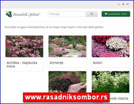 Flowers, florists, horticulture, www.rasadniksombor.rs