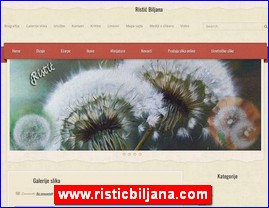 Picture galleries, painters, studios, painting, www.risticbiljana.com