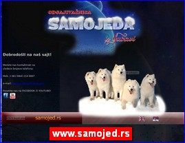 www.samojed.rs