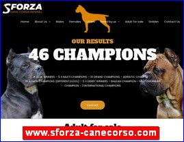 www.sforza-canecorso.com