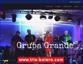 Muzičari, bendovi, folk, pop, rok, www.trio-bolero.com