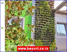 Cvee, cveare, hortikultura, www.beovrt.co.rs