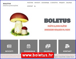 Peurke, gljive, ampinjoni, www.boletus.hr