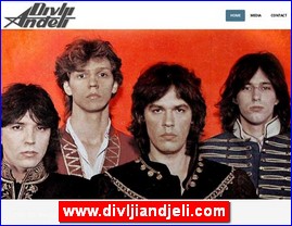 Muziari, bendovi, folk, pop, rok, www.divljiandjeli.com