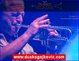 Muziari, bendovi, folk, pop, rok, www.duskogojkovic.com