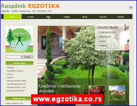 Cvee, cveare, hortikultura, www.egzotika.co.rs