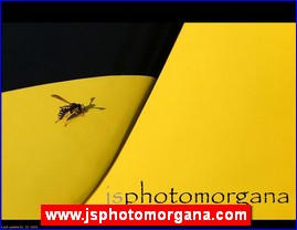 Fotografija, www.jsphotomorgana.com