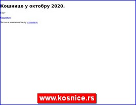 Med, proizvodi od meda, pelarstvo, www.kosnice.rs