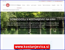 Gradovi, regije  , www.kostanjevica.si