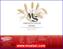 www.msalasi.com