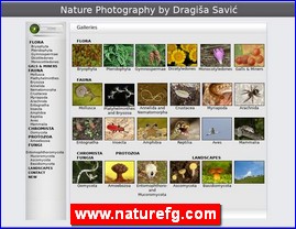 Fotografija, www.naturefg.com