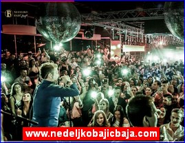 Muziari, bendovi, folk, pop, rok, www.nedeljkobajicbaja.com