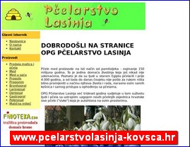 Med, proizvodi od meda, pelarstvo, www.pcelarstvolasinja-kovsca.hr