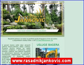 Cvee, cveare, hortikultura, www.rasadnikjankovic.com