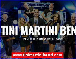 Muziari, bendovi, folk, pop, rok, www.tinimartinibend.com