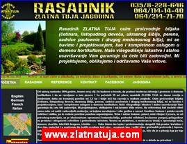 Cvee, cveare, hortikultura, www.zlatnatuja.com